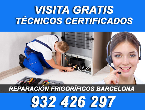 reparacion frigorificos barcelona