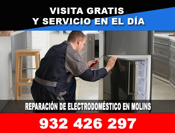 Reparación electrodomésticos Molins De Rey